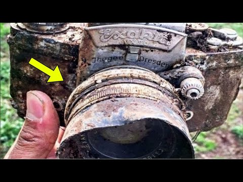 A Park Ranger Found an Old Camera in the Woods—What It Revealed Shocked Everyone