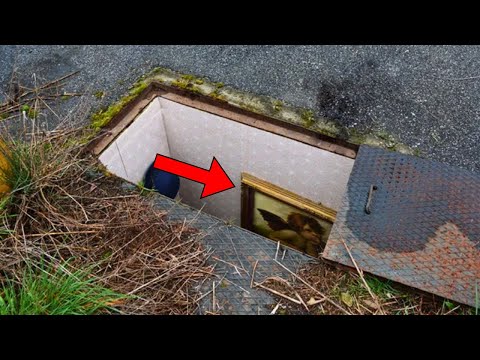 He Found a Hidden Trapdoor in His Driveway—And the Police Uncovered Millions Beneath His Home