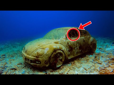 Divers Thought They’d Found a Sunken Car—Until They Opened the Door