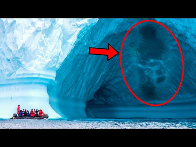 A Shadow in the Ice Promised a Creature—What It Revealed Changed History Instead