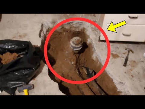 He Kept Hearing a Buzzing Sound in His Basement—What He Found Shocked Everyone