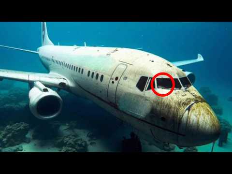 A Sunken Aircraft Was Found Beneath the Ocean—What Divers Discovered Inside Shocked Authorities