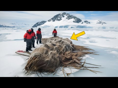 Alaska Looks Frozen and Peaceful—But What’s Thawing Beneath the Ground Could Change Everything