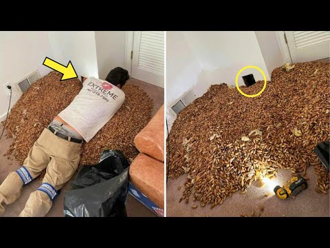 He Punched His Bathroom Wall—What He Found Inside Forced Him to Call the Police