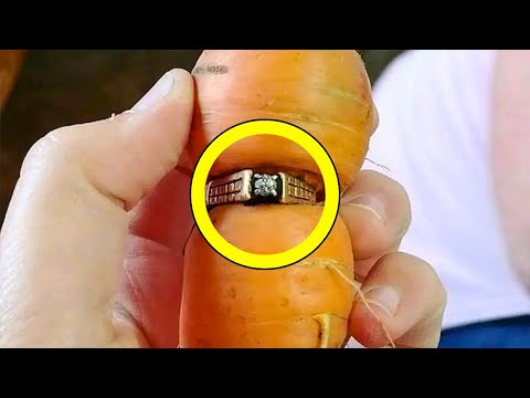 A Farmer Found a Diamond Ring Inside a Carrot—And His Wife’s Reaction Changed Everything